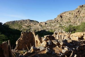 رحلة ليوم كامل في الجبل الأخضر مع نزهة خفيفة