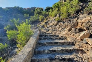 رحلة ليوم كامل في الجبل الأخضر مع نزهة خفيفة