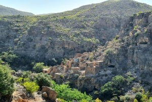 رحلة ليوم كامل في الجبل الأخضر مع نزهة خفيفة