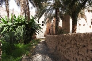 całodniowa wycieczka do suku Birkat Almouz i Nizwa oraz do fortu i Falaj Daris.