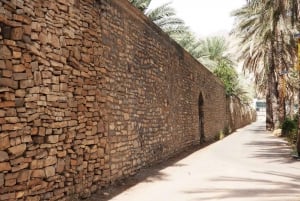 Excursion d'une journée à Birkat Almouz&Nizwa souq&Fort&Falaj Daris.