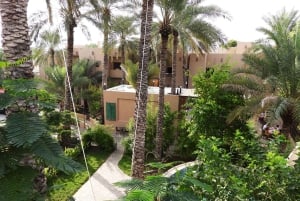 Excursión de un día completo a Birkat Almouz&Zoco de Nizwa&Fuerte&Falaj Daris.