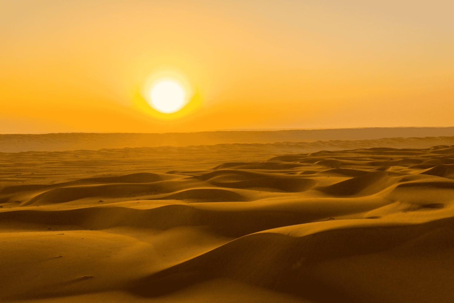Magia dell'ora d'oro: Tour del tramonto nel deserto di Rub' Al Khali