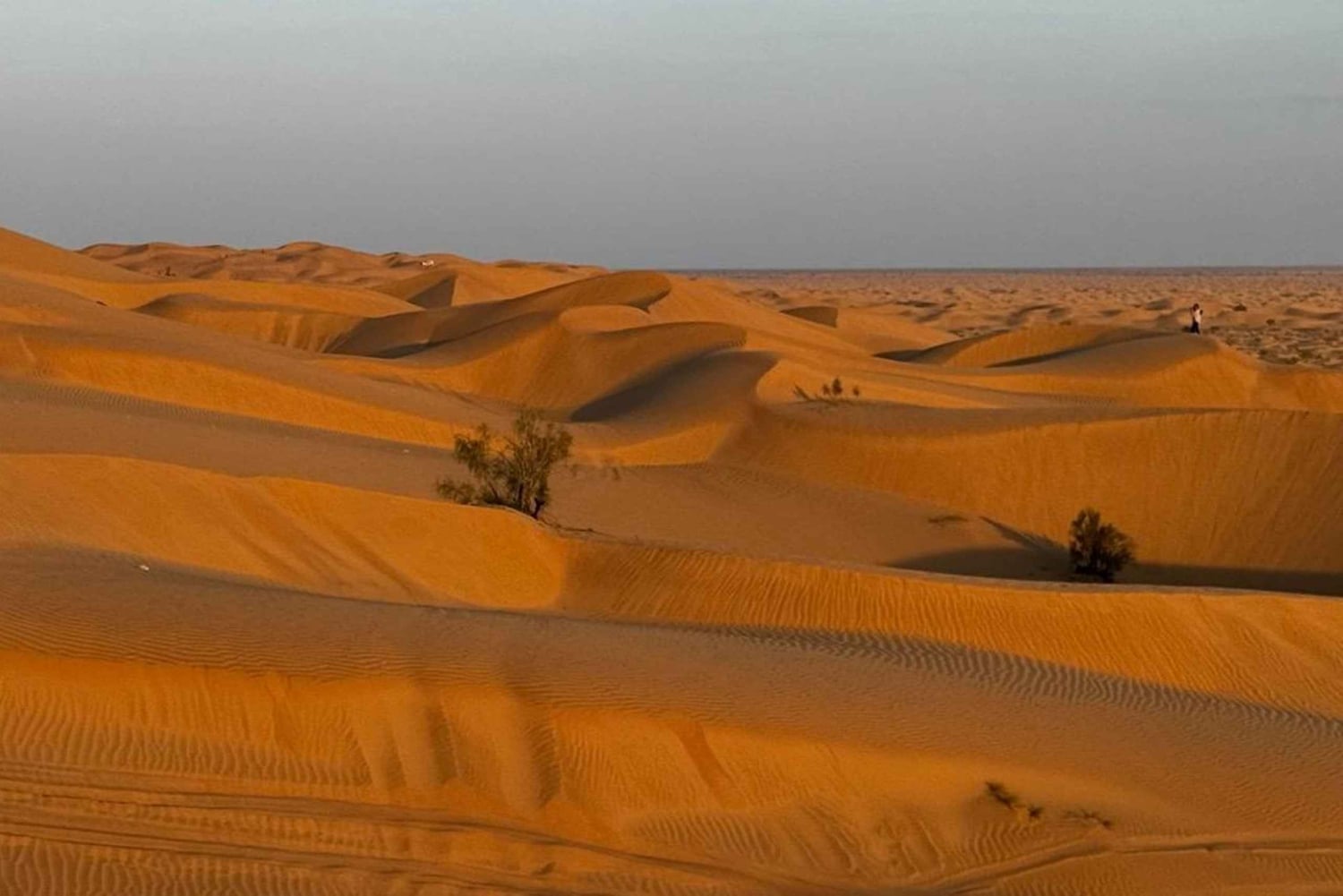 Magia dell'ora d'oro: Tour del tramonto nel deserto di Rub' Al Khali