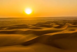 Golden Hour Magic: Rub' Al Khali Desert Sunset Tour