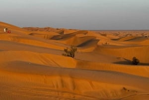 La magie de l'heure d'or : Circuit au coucher du soleil dans le désert de Rub' Al Khali