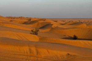 Magia dell'ora d'oro: Tour del tramonto nel deserto di Rub' Al Khali
