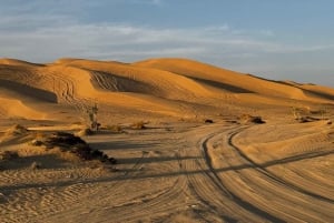 Magia dell'ora d'oro: Tour del tramonto nel deserto di Rub' Al Khali