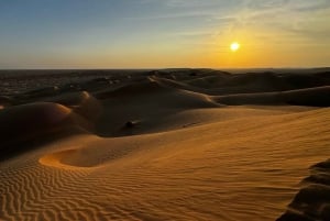 Magia dell'ora d'oro: Tour del tramonto nel deserto di Rub' Al Khali