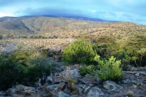 Grand Canyon dell'Oman Jebel Shams