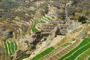 Excursión a las Montañas Verdes - Nizwa y Jebel Akhdar