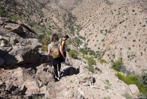 Excursión a las Montañas Verdes - Nizwa y Jebel Akhdar