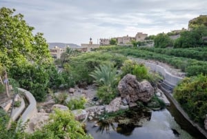 Excursión a las Montañas Verdes - Nizwa y Jebel Akhdar