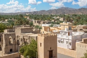 Excursión a las Montañas Verdes - Nizwa y Jebel Akhdar