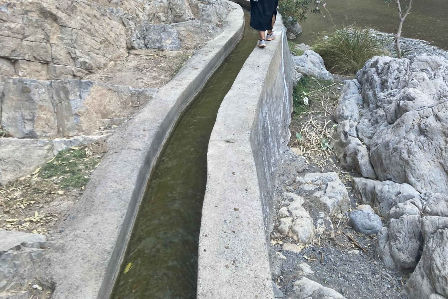 جولة صباحية مع مرشد: وادي مُعيد وبركة المز (حوالي 4 ساعات)