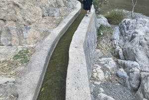 Visite guidée matinale : Wadi Muaydin et Birkat Al Muz (environ 4 heures)