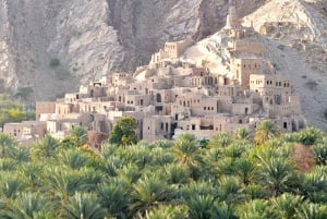 Visite guidée matinale : Wadi Muaydin et Birkat Al Muz (environ 4 heures)