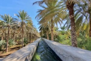 Visite guidée matinale : Wadi Muaydin et Birkat Al Muz (environ 4 heures)