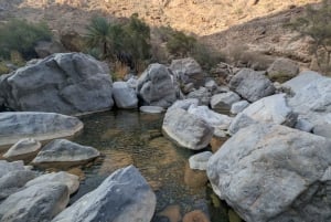 Visite guidée matinale : Wadi Muaydin et Birkat Al Muz (environ 4 heures)