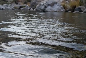 Visite guidée matinale : Wadi Muaydin et Birkat Al Muz (environ 4 heures)