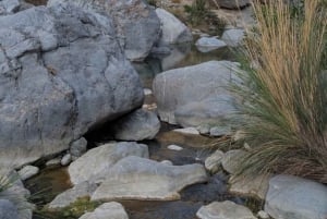 Visite guidée matinale : Wadi Muaydin et Birkat Al Muz (environ 4 heures)