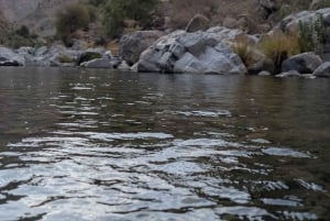 Visite guidée matinale : Wadi Muaydin et Birkat Al Muz (environ 4 heures)