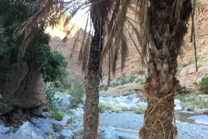 جولة صباحية مع مرشد: وادي مُعيد وبركة المز (حوالي 4 ساعات)