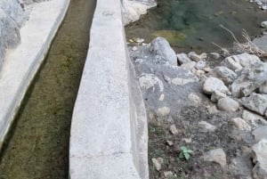 جولة صباحية مع مرشد: وادي مُعيد وبركة المز (حوالي 4 ساعات)