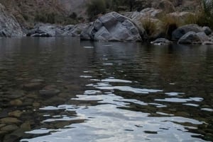 جولة صباحية مع مرشد: وادي مُعيد وبركة المز (حوالي 4 ساعات)