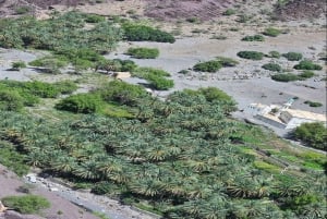 Geführte Bergtour: Sayq Plateau & Abstieg durch das Wadi Muaydin
