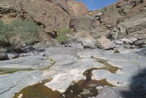 Geführte Bergtour: Sayq Plateau & Abstieg durch das Wadi Muaydin
