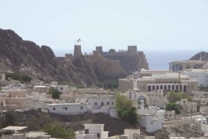 Hajar Mountains: Private Day Trip from Muscat