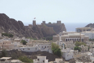 Hajar Mountains: Private Day Trip from Muscat