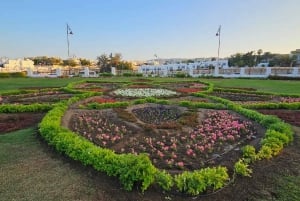 Half day budget friendly Muscat City Tour