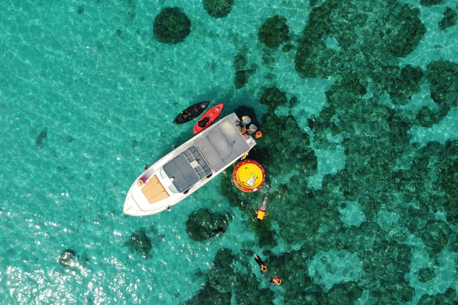 Halve dag snorkelen op de Dimaniyat-eilanden met een mini-jacht