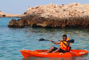 Halve dag snorkelen op de Dimaniyat-eilanden met een mini-jacht