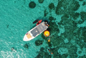 Halve dag snorkelen op de Dimaniyat-eilanden met een mini-jacht