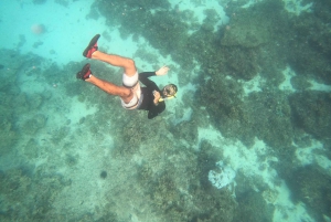 Halve dag snorkelen op de Dimaniyat-eilanden met een mini-jacht