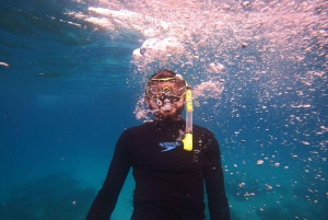 Halve dag snorkelen op de Dimaniyat-eilanden met een mini-jacht
