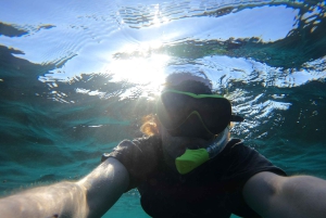 Halve dag snorkelen op de Dimaniyat-eilanden met een mini-jacht