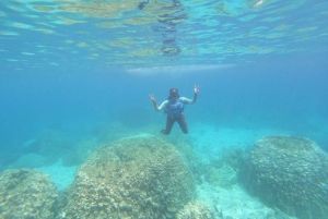 Halve dag snorkelen op de Dimaniyat-eilanden met een mini-jacht