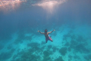 Halve dag snorkelen op de Dimaniyat-eilanden met een mini-jacht