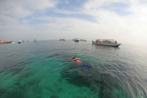 Halve dag snorkelen op de Dimaniyat-eilanden met een mini-jacht