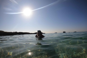 Halve dag snorkelen op de Dimaniyat-eilanden met een mini-jacht