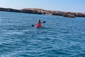 Halve dag snorkelen op de Dimaniyat-eilanden met een mini-jacht