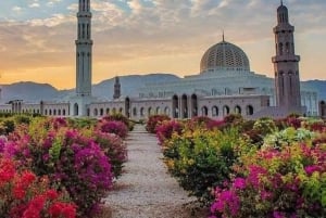 Tour di mezza giornata della città di Muscat - Tour esperto