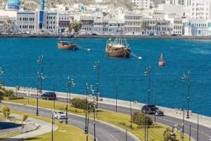 Tour di mezza giornata della città di Muscat - Tour esperto