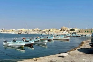 Tour di mezza giornata della città di Muscat - Tour esperto