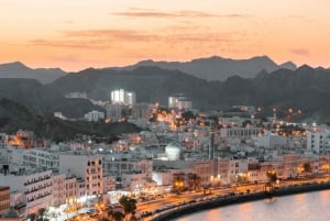 Stadsrondleiding van een halve dag in Muscat