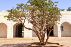 جولة لنصف يوم في مدينة صلالة